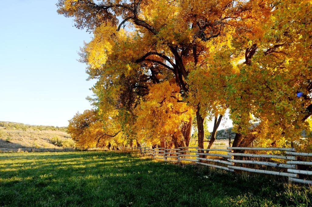 Canyon Of The Ancients Guest Ranch Cortez Exterior photo